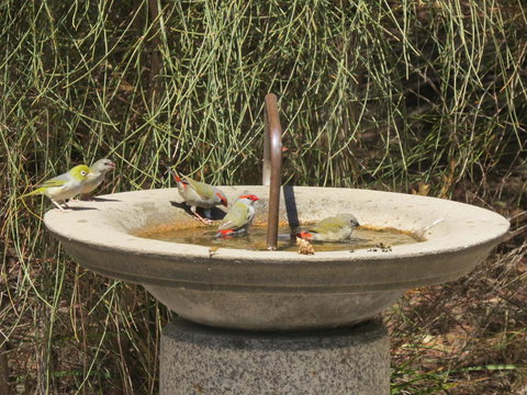 Kestrel Downs - Accommodation Yamba 24