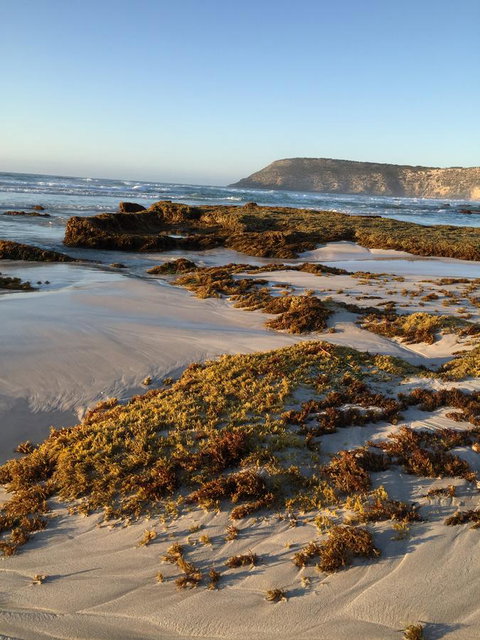 Kestrel Downs - Accommodation Yamba 34