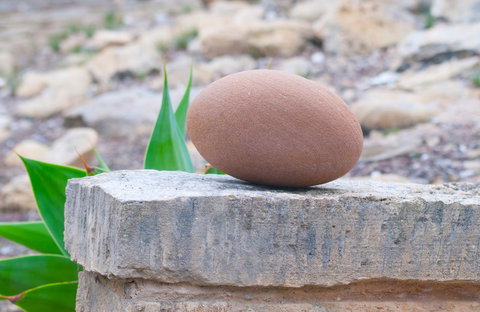 Kestrel Downs - Accommodation Yamba 30