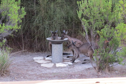 Kestrel Downs - Accommodation Yamba 23