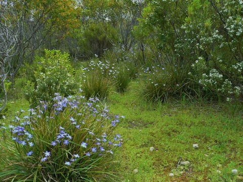 Kestrel Downs - Accommodation Yamba 32