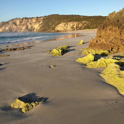 Kestrel Downs - Accommodation Yamba 36