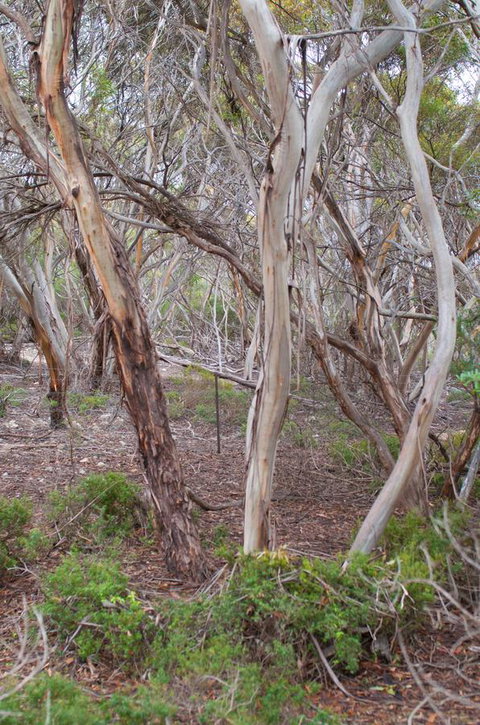 Kestrel Downs - Accommodation Yamba 19