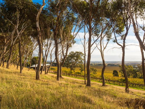 Shadow Creek McLaren Vale - Accommodation Yamba 5