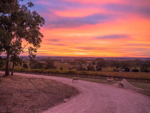 Shadow Creek McLaren Vale - Accommodation Yamba 24