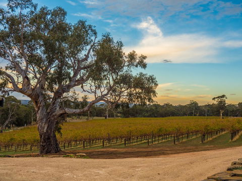 Shadow Creek McLaren Vale - Accommodation Yamba 23
