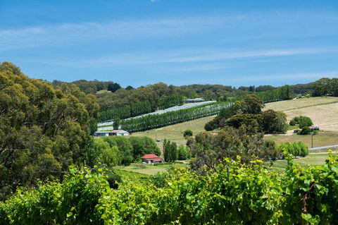 The Other House - Accommodation Yamba 3