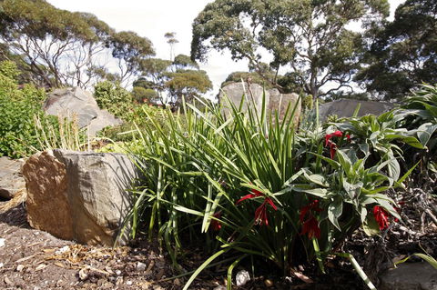 Cape Jervis Holiday Units - Accommodation Yamba 6