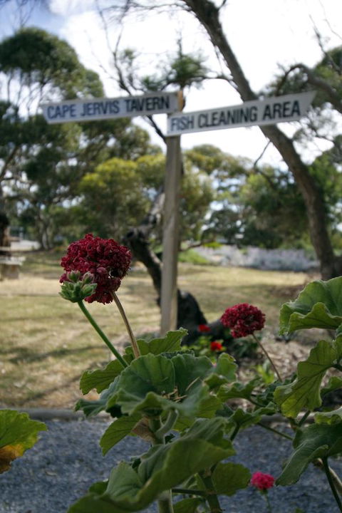 Cape Jervis Holiday Units - Accommodation Yamba 13