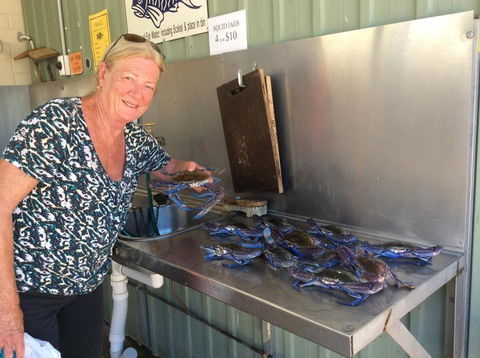 Ceduna Foreshore Caravan Park - Accommodation Yamba 28