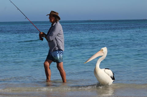 Ceduna Foreshore Caravan Park - Accommodation Yamba 21
