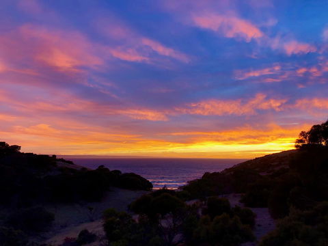 Sea Dragon Kangaroo Island - Accommodation Yamba 14