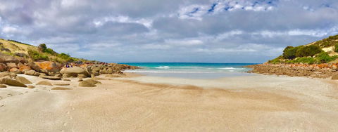Sea Dragon Kangaroo Island - Accommodation Yamba 16