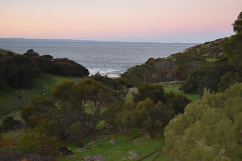 Sea Dragon Kangaroo Island - Accommodation Yamba 30