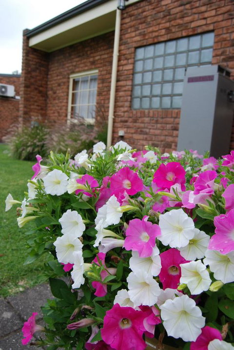 Arkana Motor Inn & Terrace Apartments - Accommodation Yamba 40