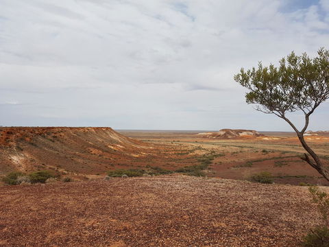Underground Gem - Accommodation Yamba 30