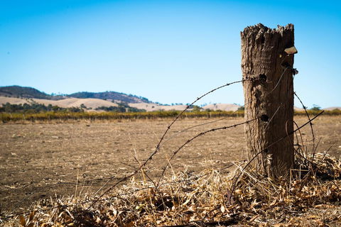 Barossa Vineyard Cottages - Accommodation Yamba 5