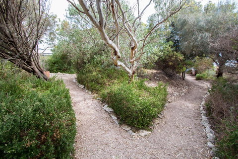 Coorong Waterfront Retreat - Accommodation Yamba 19