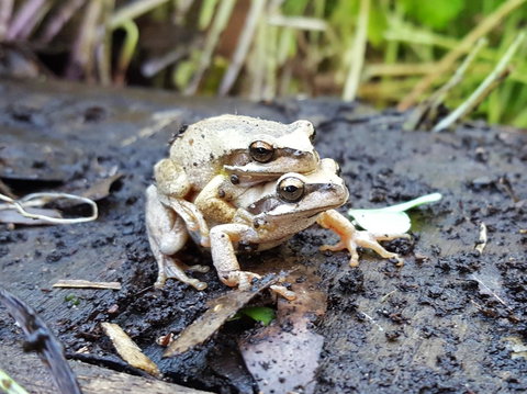 Coorong Waterfront Retreat - Accommodation Yamba 30