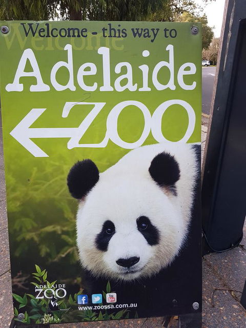 Adelaide Style Accommodation-Close To City-North Adelaide-3 Bdrm- FREE Parking - Accommodation Yamba 35