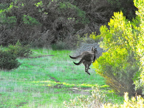 A Dune Escape - Accommodation Yamba 25