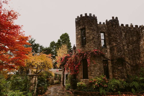 The Manor Basket Range - Accommodation Yamba 15