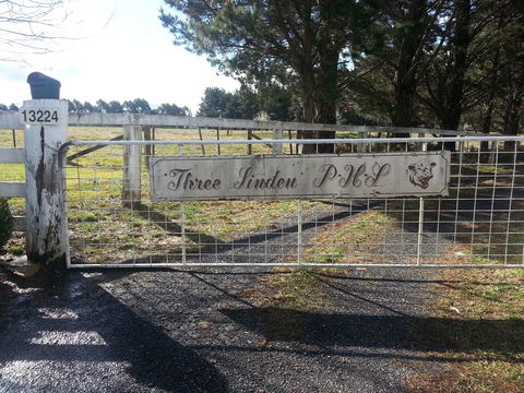 Three Linden - Accommodation Yamba 6