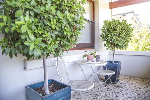 Mataro Cottage - Accommodation Yamba 2