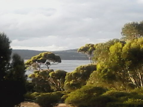 Mallee Bark Retreat - Accommodation Yamba 11