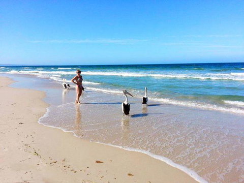 Atlantic West Beach Apartments - Accommodation Yamba 22