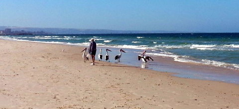 Atlantic West Beach Apartments - Accommodation Yamba 20
