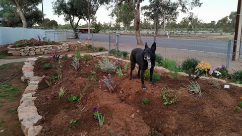 The Quorn-er House - Accommodation Yamba 6