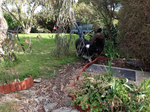 Casuarina Coastal Units - Accommodation Yamba 29