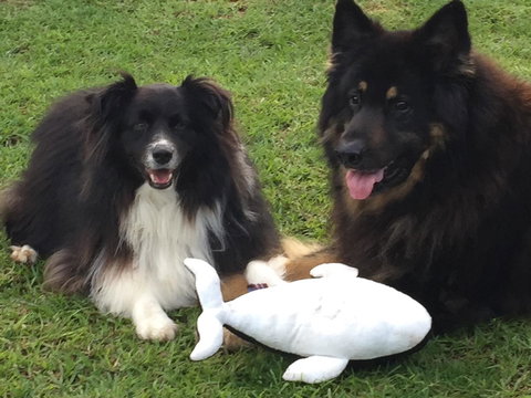 Casuarina Coastal Units - Accommodation Yamba 30