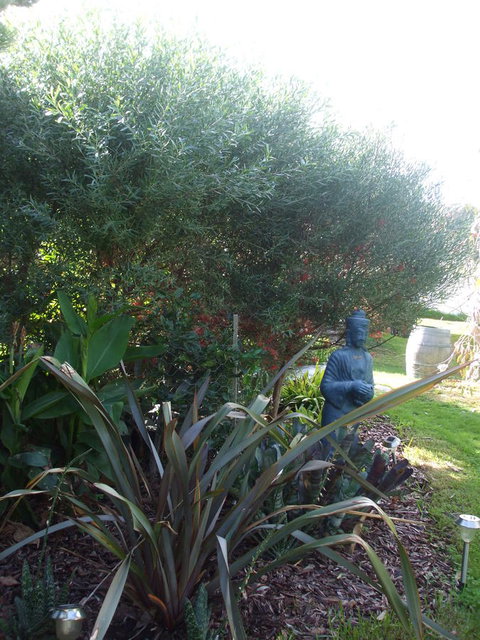 Casuarina Coastal Units - Accommodation Yamba 16