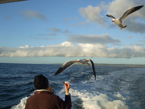 Casuarina Coastal Units - Accommodation Yamba 25