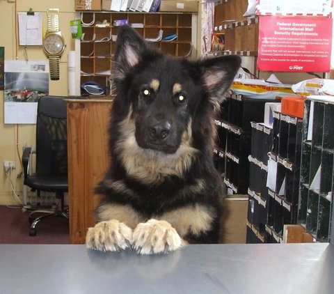 Casuarina Coastal Units - Accommodation Yamba 15