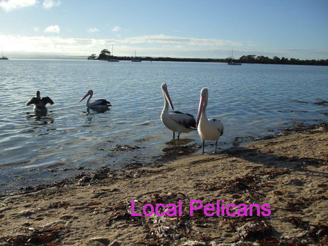 Casuarina Coastal Units - Accommodation Yamba 23