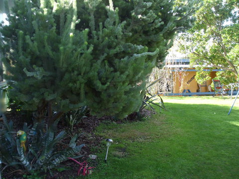 Casuarina Coastal Units - Accommodation Yamba 21