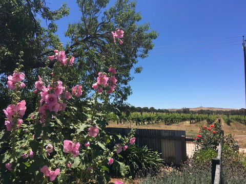 Amy\'s House Bed & Breakfast - Accommodation Yamba 29