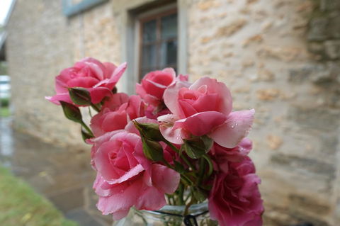 Amy\'s House Bed & Breakfast - Accommodation Yamba 30