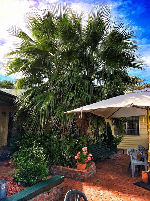 Ten Dollar Town Motel - Accommodation Yamba 17
