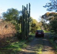 The Pig and Whistle - Accommodation Yamba