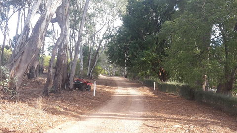 Taralee Orchards - Accommodation Yamba 4
