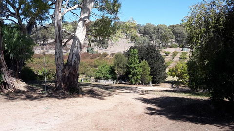 Taralee Orchards - Accommodation Yamba 3