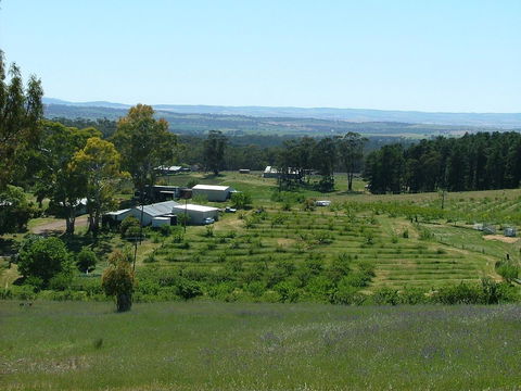 Taralee Orchards - Accommodation Yamba 0