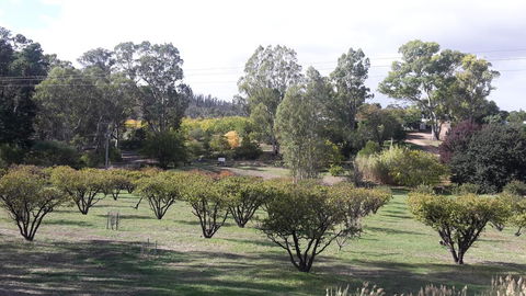Taralee Orchards - Accommodation Yamba 1