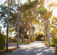 Modra's Apartments - Accommodation Yamba