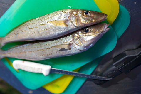 Modra\'s Apartments - Accommodation Yamba 17