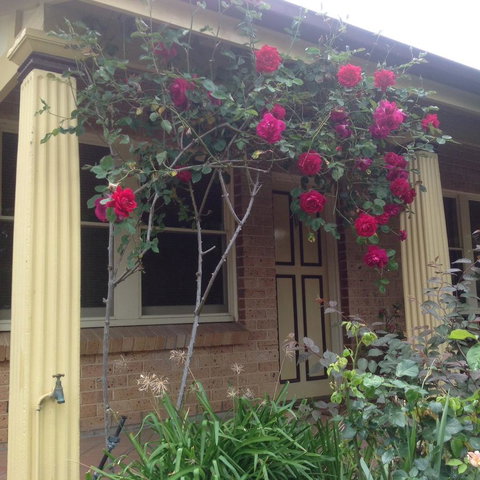 Oats Cottage - Accommodation Yamba 3